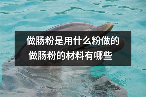 做肠粉是用什么粉做的 做肠粉的材料有哪些