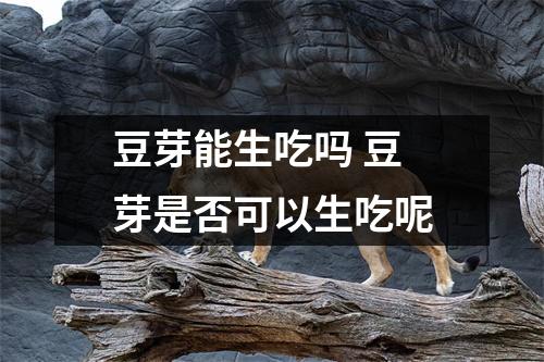 豆芽能生吃吗 豆芽是否可以生吃呢