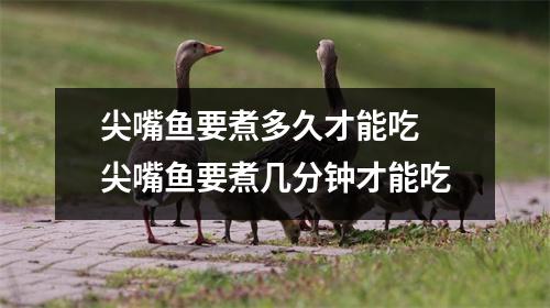 尖嘴鱼要煮多久才能吃 尖嘴鱼要煮几分钟才能吃