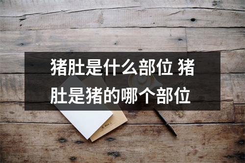 猪肚是什么部位 猪肚是猪的哪个部位