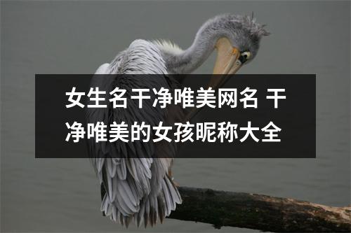 女生名干净唯美网名 干净唯美的女孩昵称大全 女生名干净唯美网名 干净唯美的女孩昵称大全