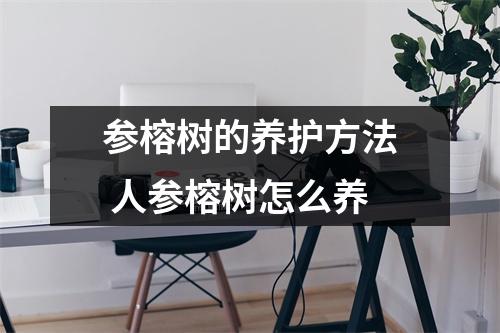 参榕树的养护方法 人参榕树怎么养 参榕树的养护方法 人参榕树怎么养