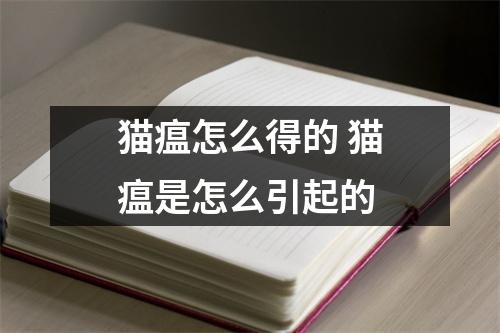 猫瘟怎么得的 猫瘟是怎么引起的