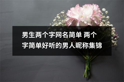 男生两个字网名简单 两个字简单好听的男人昵称集锦 男生两个字网名简单 两个字简单好听的男人昵称集锦