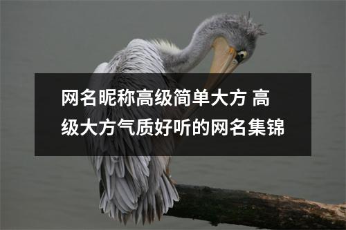 网名昵称高级简单大方 高级大方气质好听的网名集锦