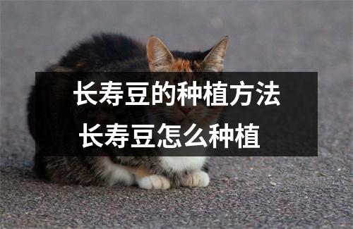 长寿豆的种植方法 长寿豆怎么种植