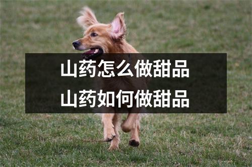 山药怎么做甜品 山药如何做甜品