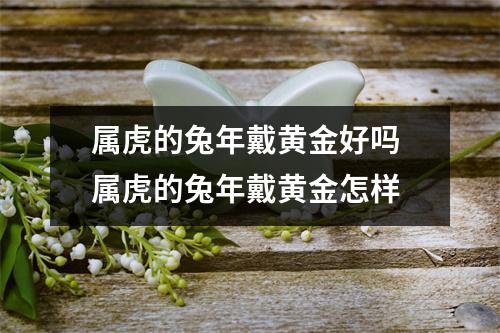 属虎的兔年戴黄金好吗 属虎的兔年戴黄金怎样