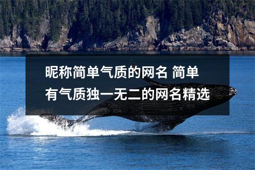 昵称简单气质的网名 简单有气质独一无二的网名精选