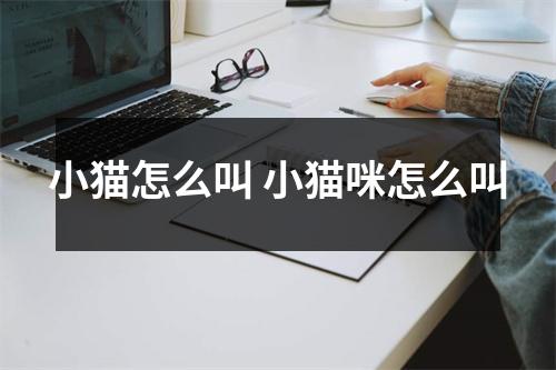 小猫怎么叫 小猫咪怎么叫