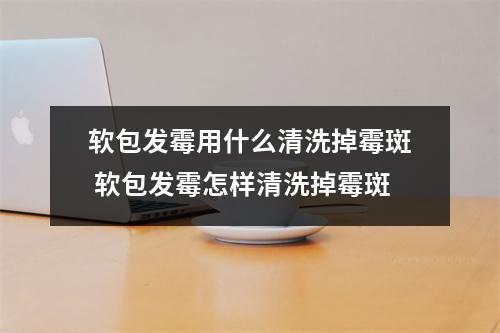 软包发霉用什么清洗掉霉斑 软包发霉怎样清洗掉霉斑