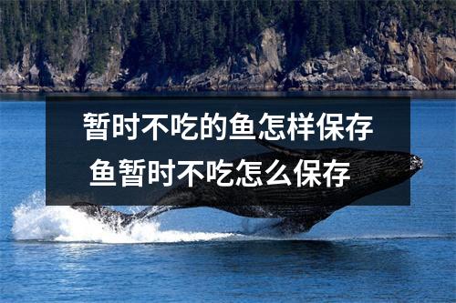 暂时不吃的鱼怎样保存 鱼暂时不吃怎么保存