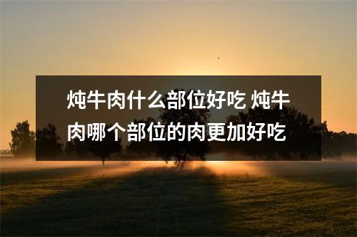 炖牛肉什么部位好吃 炖牛肉哪个部位的肉更加好吃