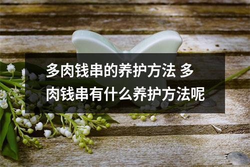 多肉钱串的养护方法 多肉钱串有什么养护方法呢