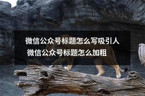 微信公众号标题怎么写吸引人 微信公众号标题怎么加粗