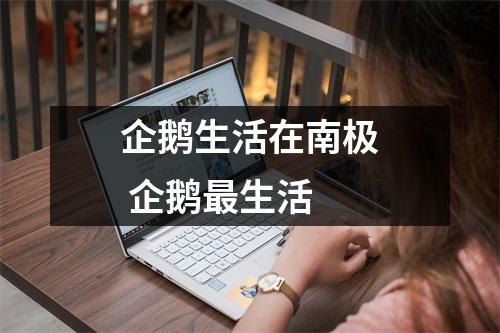 企鹅生活在南极 企鹅最生活 企鹅生活在南极 企鹅最生活