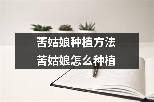 苦姑娘种植方法 苦姑娘怎么种植 苦姑娘种植方法 苦姑娘怎么种植