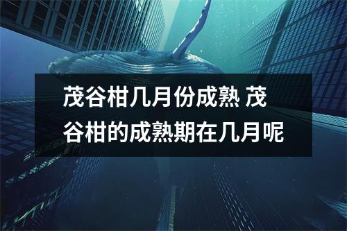 茂谷柑几月份成熟 茂谷柑的成熟期在几月呢