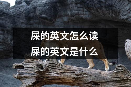 屎的英文怎么读 屎的英文是什么