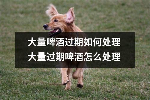 大量啤酒过期如何处理 大量过期啤酒怎么处理 大量啤酒过期如何处理 大量过期啤酒怎么处理