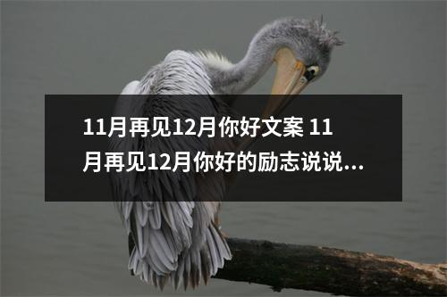11月再见12月你好文案 11月再见12月你好的励志说说介绍