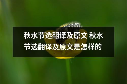 秋水节选翻译及原文 秋水节选翻译及原文是怎样的