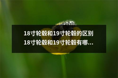 18寸轮毂和19寸轮毂的区别 18寸轮毂和19寸轮毂有哪些区别