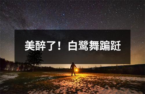 美醉了！白鹭舞蹁跹