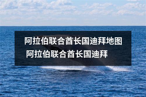 阿拉伯联合酋长国迪拜地图 阿拉伯联合酋长国迪拜