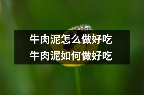 牛肉泥怎么做好吃 牛肉泥如何做好吃
