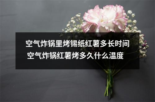 空气炸锅里烤锡纸红薯多长时间 空气炸锅红薯烤多久什么温度