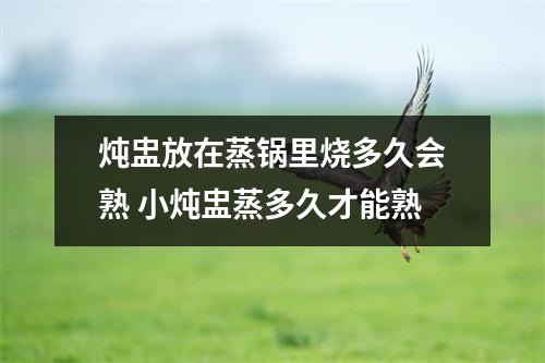 炖盅放在蒸锅里烧多久会熟 小炖盅蒸多久才能熟