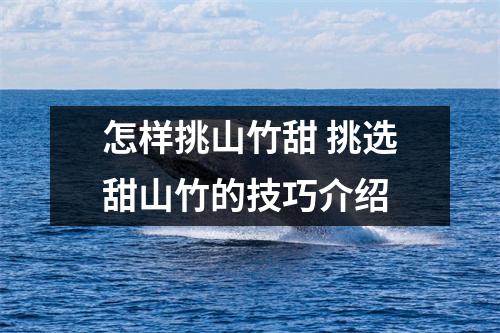怎样挑山竹甜 挑选甜山竹的技巧介绍