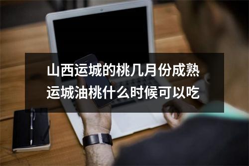 山西运城的桃几月份成熟 运城油桃什么时候可以吃