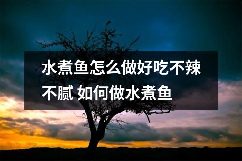 水煮鱼怎么做好吃不辣不腻 如何做水煮鱼