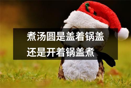 煮汤圆是盖着锅盖还是开着锅盖煮