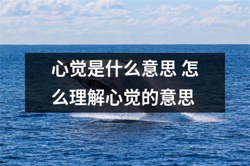 心觉是什么意思 怎么理解心觉的意思