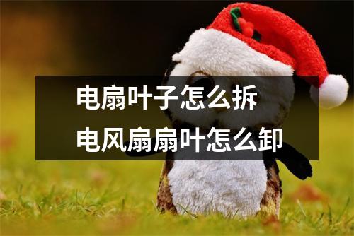 电扇叶子怎么拆 电风扇扇叶怎么卸