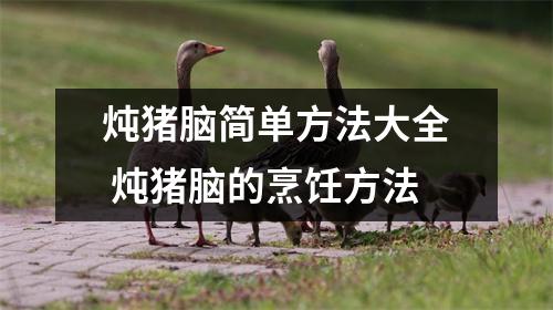 炖猪脑简单方法大全 炖猪脑的烹饪方法