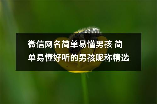 微信网名简单易懂男孩 简单易懂好听的男孩昵称精选