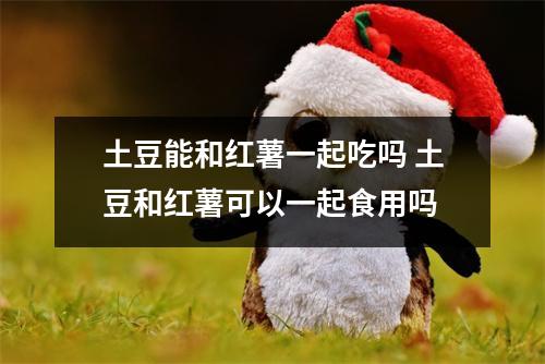 土豆能和红薯一起吃吗 土豆和红薯可以一起食用吗