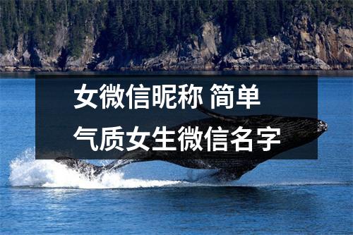 女微信昵称 简单气质女生微信名字