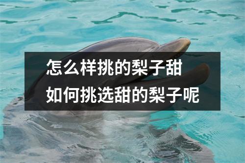 怎么样挑的梨子甜 如何挑选甜的梨子呢