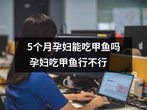 5个月孕妇能吃甲鱼吗 孕妇吃甲鱼行不行