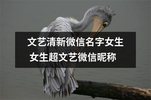文艺清新微信名字女生 女生超文艺微信昵称