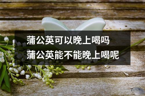 蒲公英可以晚上喝吗 蒲公英能不能晚上喝呢