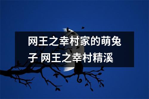 网王之幸村家的萌兔子 网王之幸村精溪