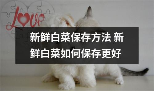 新鲜白菜保存方法 新鲜白菜如何保存更好