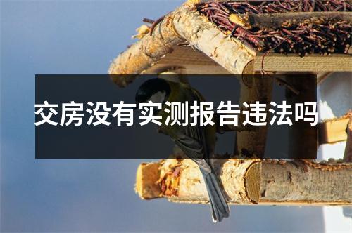 交房没有实测报告违法吗