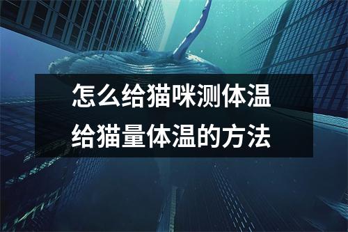 怎么给猫咪测体温 给猫量体温的方法